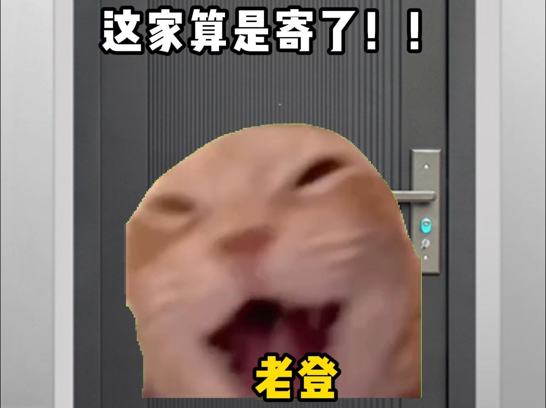 【猫meme】当发光字工厂老板下班回到家....哔哩哔哩bilibili