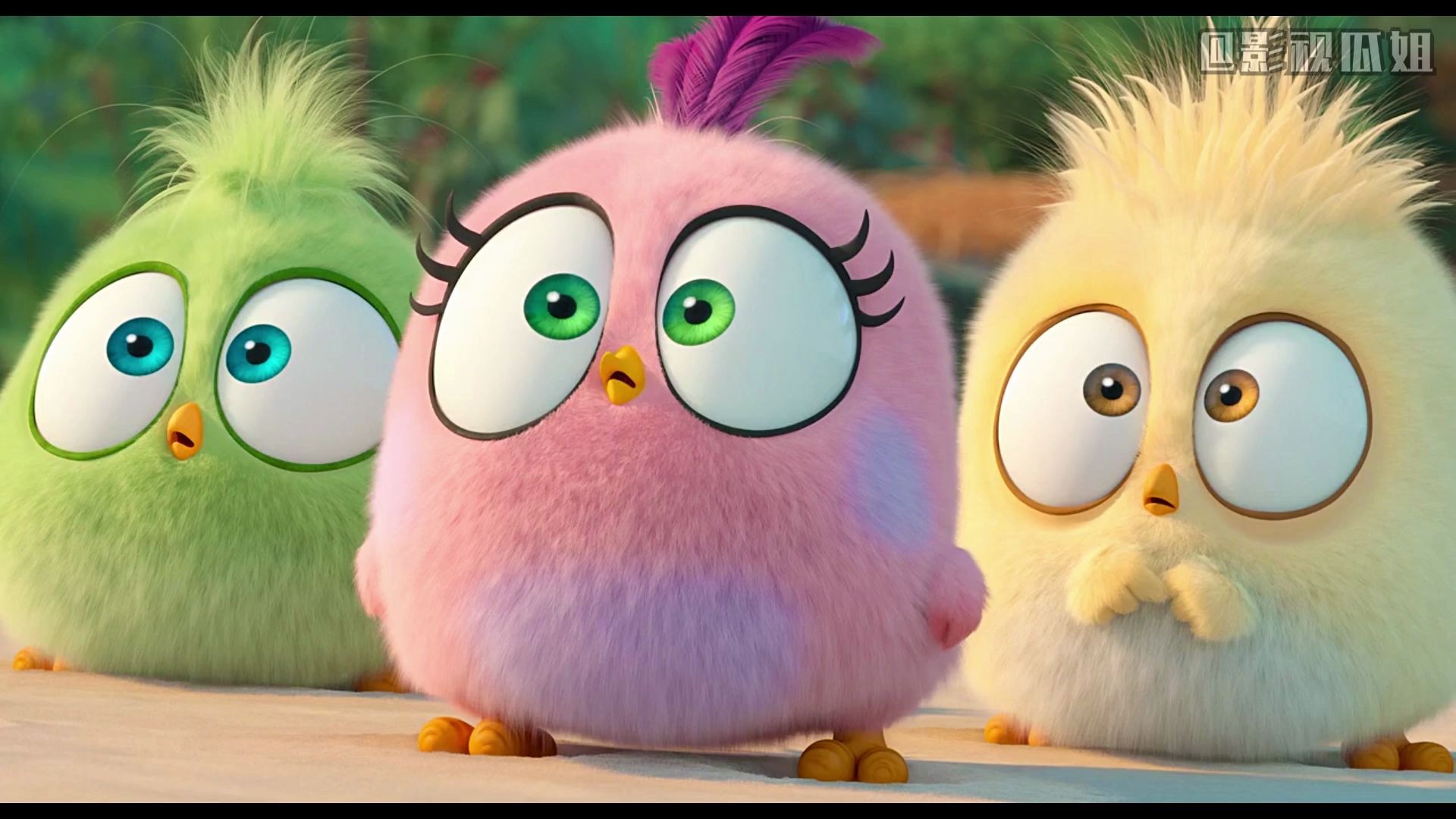 【愤怒的小鸟】超可爱治愈系动画片,三只小鸟踏上寻蛋之旅,看完心都