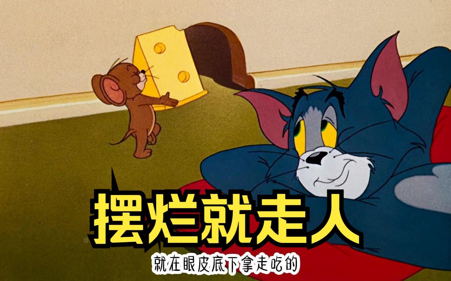 汤姆摆烂被赶出家,没想到机械猫破坏力太惊人.