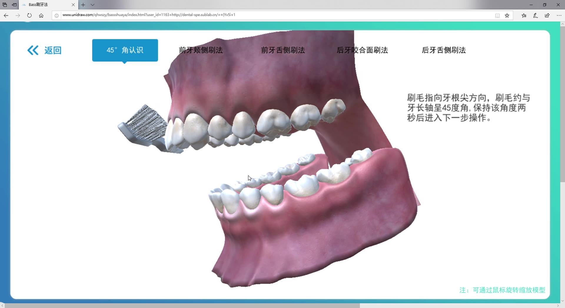 bass刷牙法哔哩哔哩bilibili