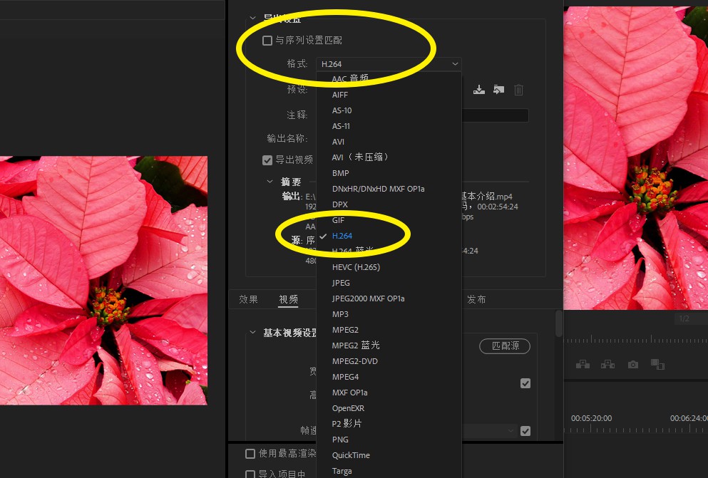为什么我们使用Pr导出的视频总是特别大?目标