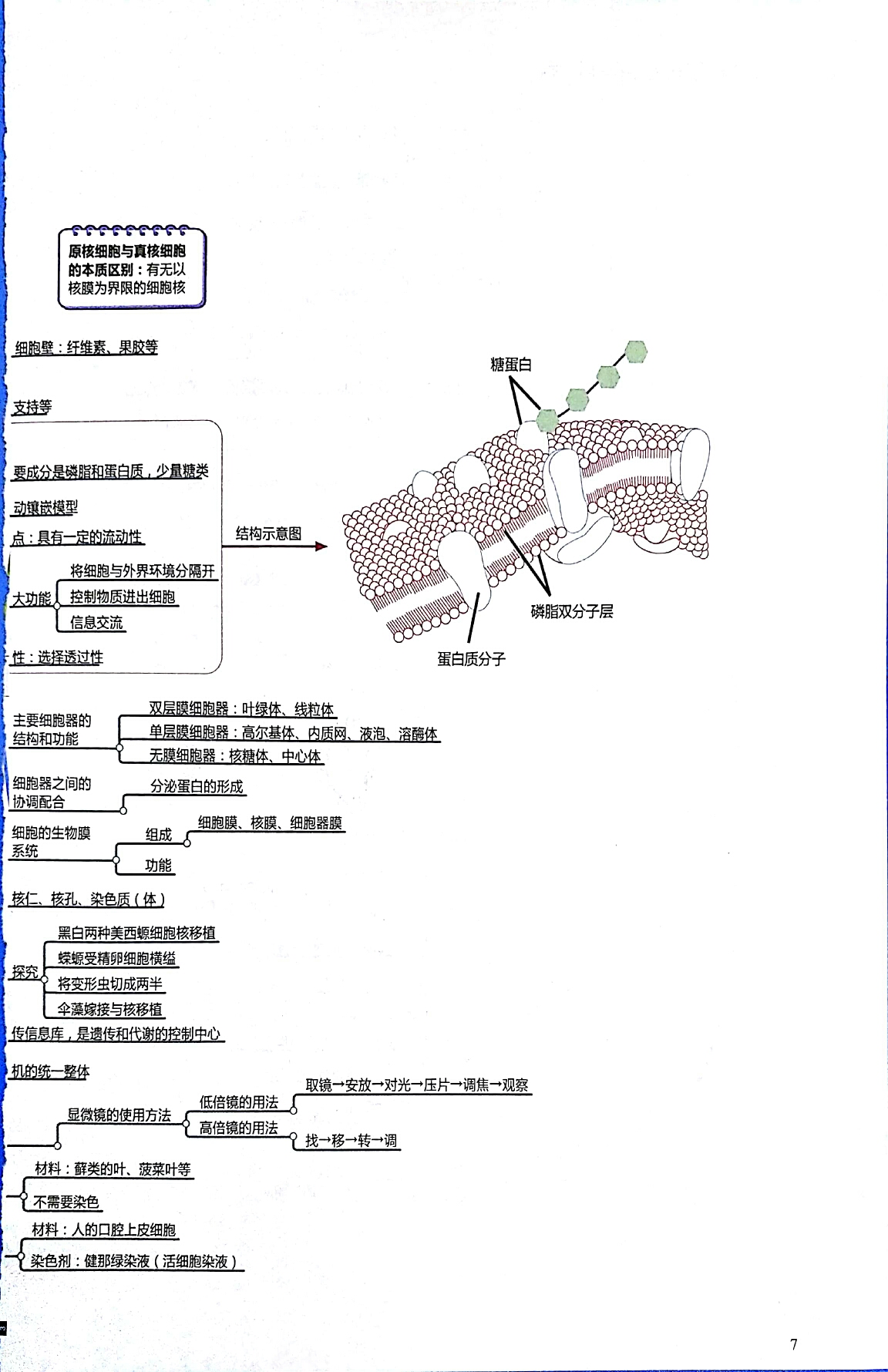 乡愁的思维导图图片