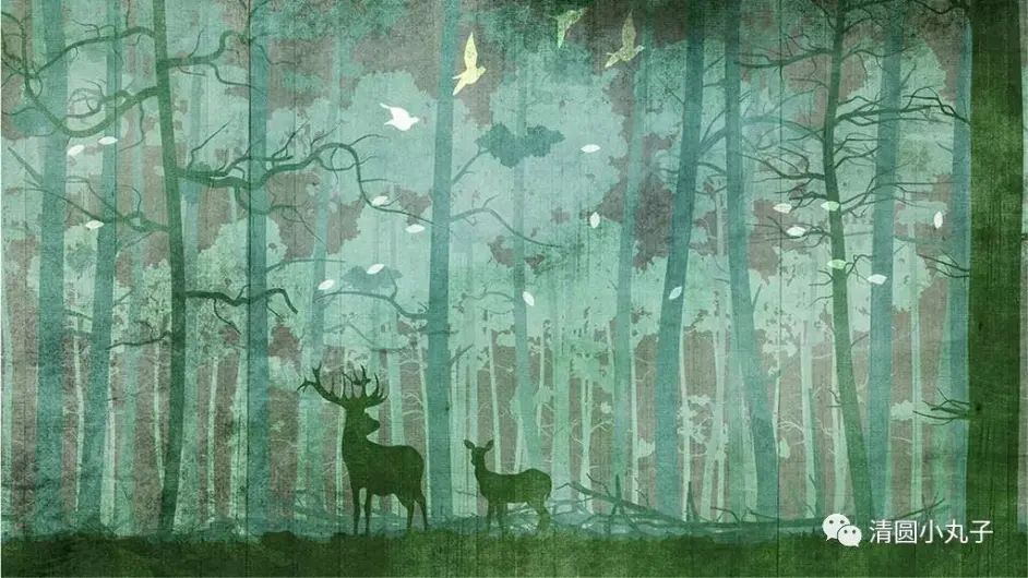 神的孩子全孤独 住在山神森林 哔哩哔哩