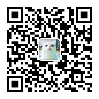 属性人生攻略