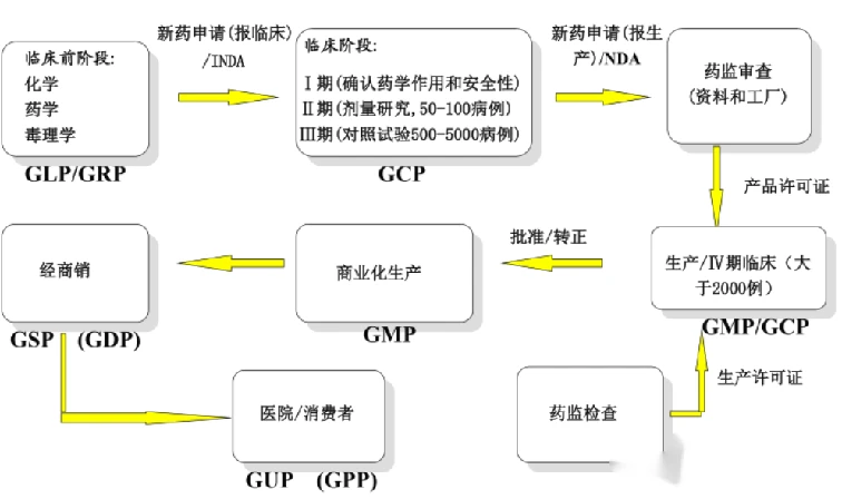每个制药行业IT信息化人必看内容,GXP体系介绍 - 哔哩哔哩