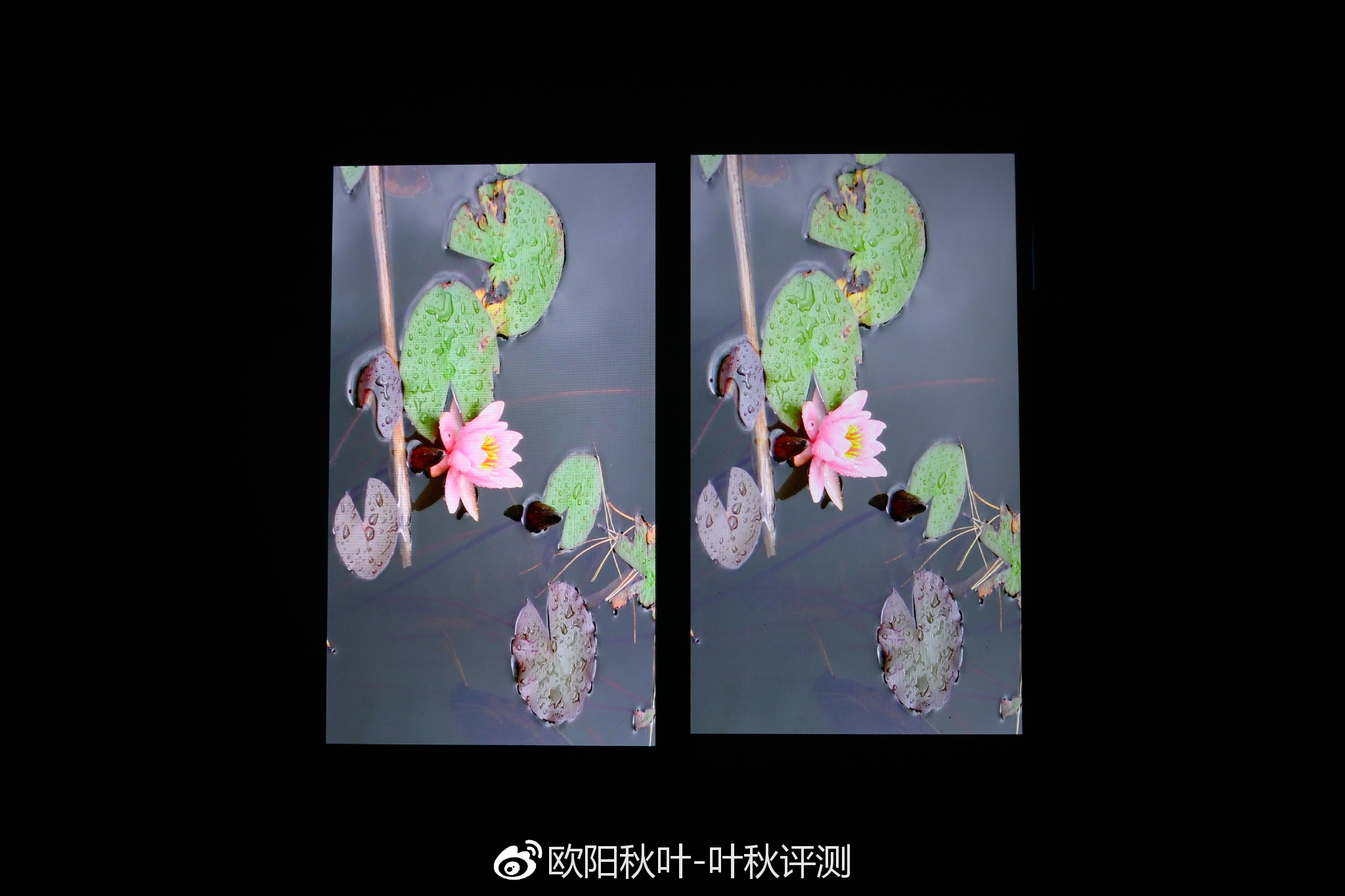 【叶秋评测】荣耀v10对比一加5t