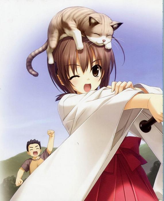 《缘之空》经典语录盘点 - 缘之空文本 - 实验室设备网