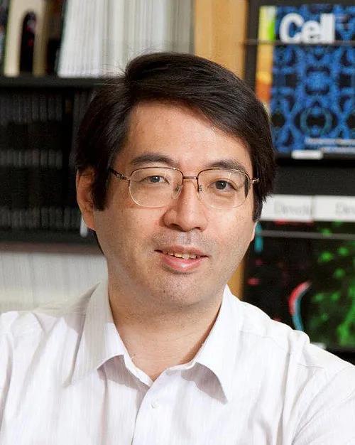 笹井芳树 —   图片来源:wikipedia