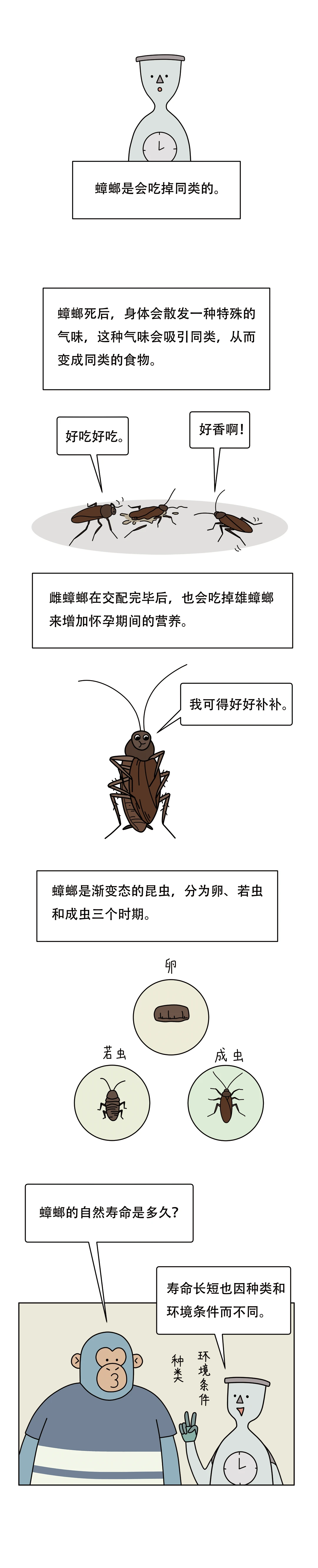 为什么蟑螂看起来虚弱却很难杀6