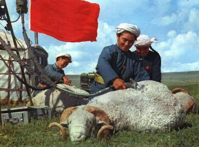 老照片 1969年内蒙古兴旺的牧业大队