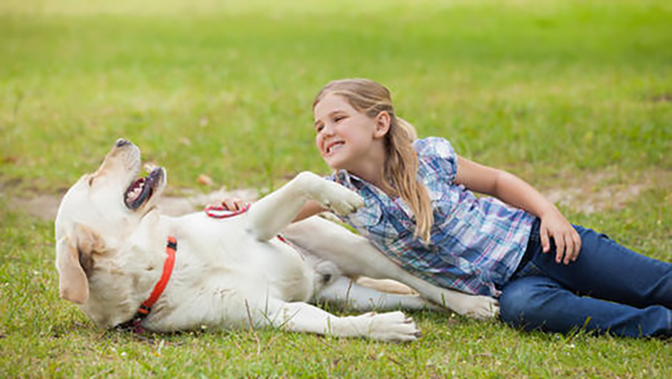 养一只宠物比教育机构对孩子更好