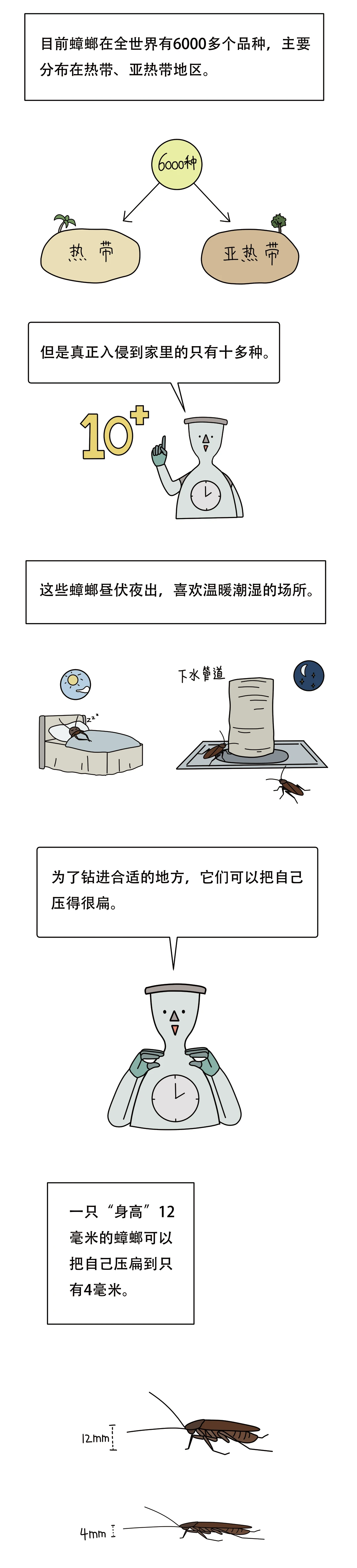 为什么蟑螂看起来虚弱却很难杀2