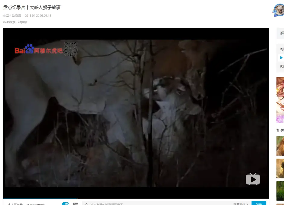 坏男孩老六t先生现在在b站被黑的很厉害纪录片得背锅 哔哩哔哩 坏男孩老六t先生现在在b站被黑的很厉害纪录片得背锅 哔哩哔哩