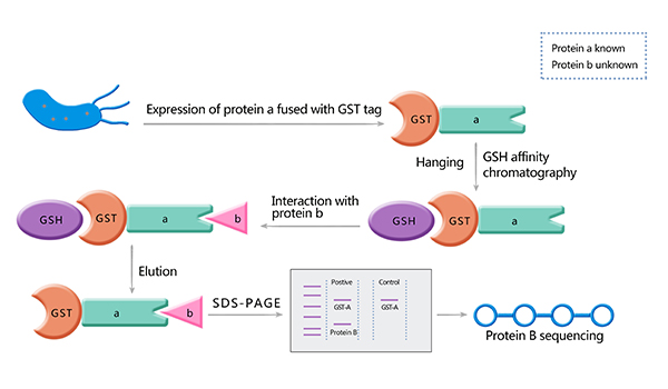 gst-pull-down