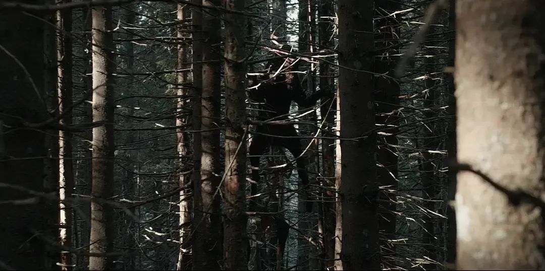 图片[6]-森林中的恐怖邪神，走不出的《黑森灵》-68影视