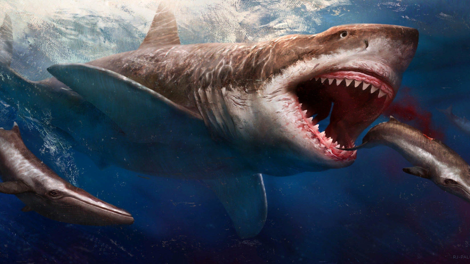 灰鲭鲨百科-灰鲭鲨天敌|图片-排行榜123网