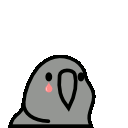 派对鹦鹉小gif 可做表情包 哔哩哔哩