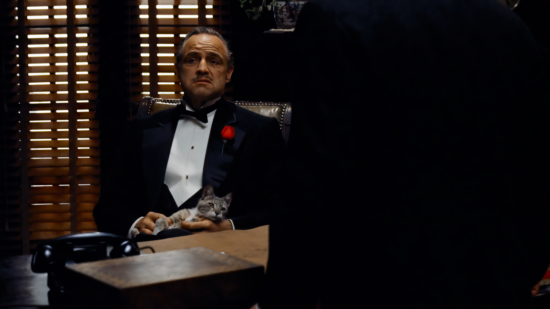 教父系列 | 马龙·白兰度 阿尔·帕西诺等主演的电影 | HD 2K 4K | 收藏级 | 电脑壁纸 - 哔哩哔哩