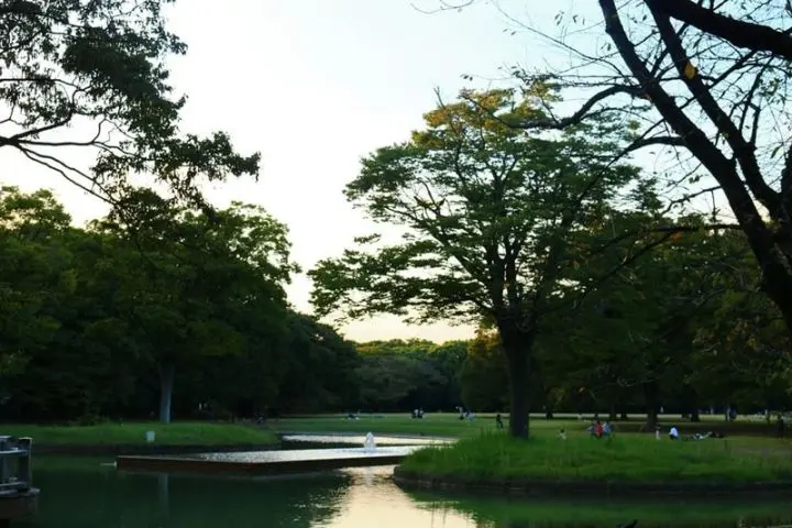 感受大自然的美丽 东京代代木公园 哔哩哔哩