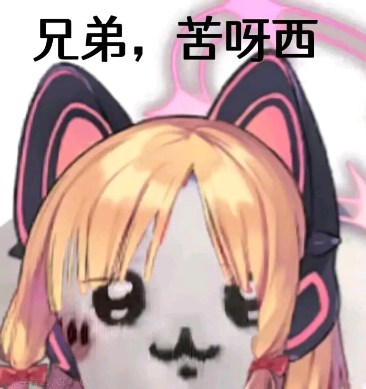 兄弟,ba表情包第一话 - 哔哩哔哩