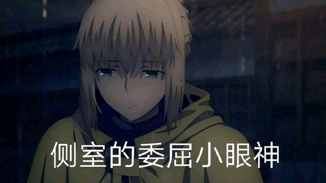 fgo沙雕表情包20