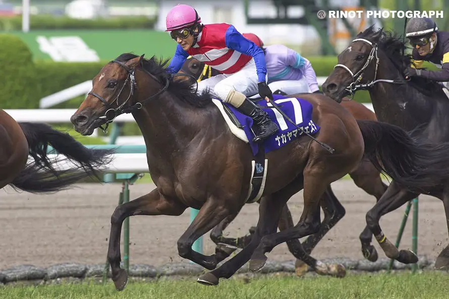 赛马娘原型 中山庆典解说 哔哩哔哩