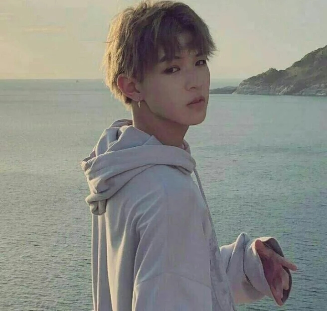 (李希侃×你)是那只小狐狸啊