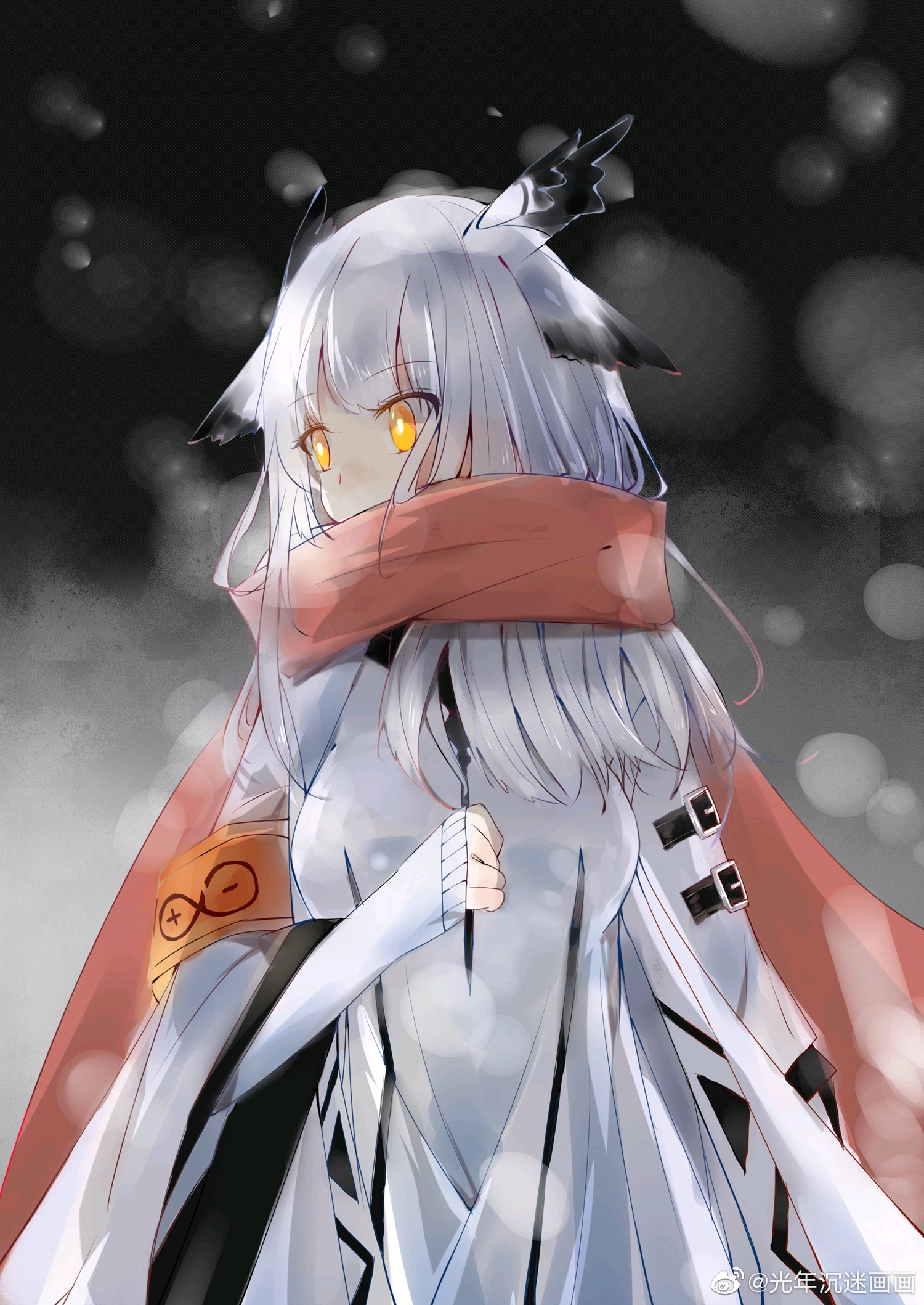 冬天,雪,白面鸮,博士.