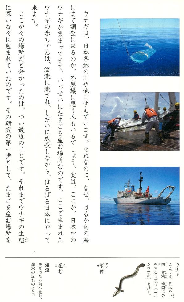 跟着日本小学国语课文学日语：ウナギのなぞを追って 哔哩哔哩