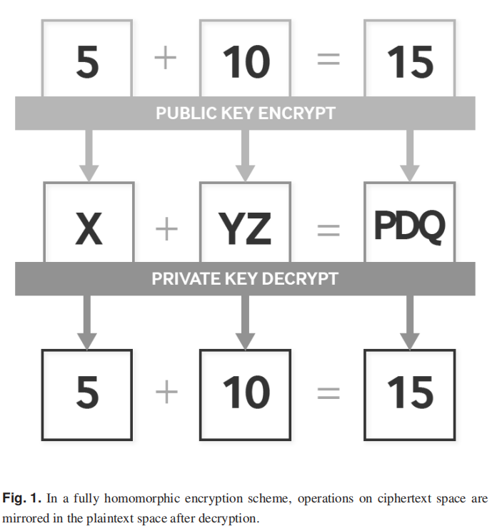 【科普】全同态加密(Fully Homomorphic Encryption) - 哔哩哔哩