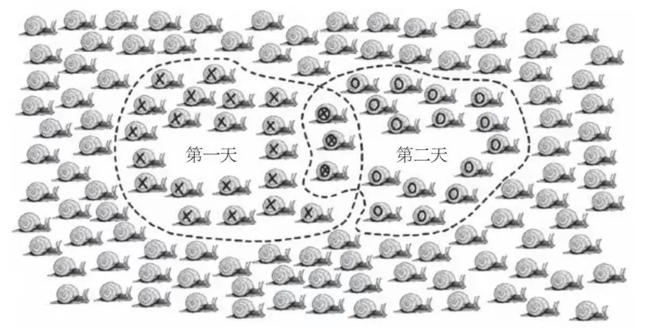 标记重捕法与相似三角形