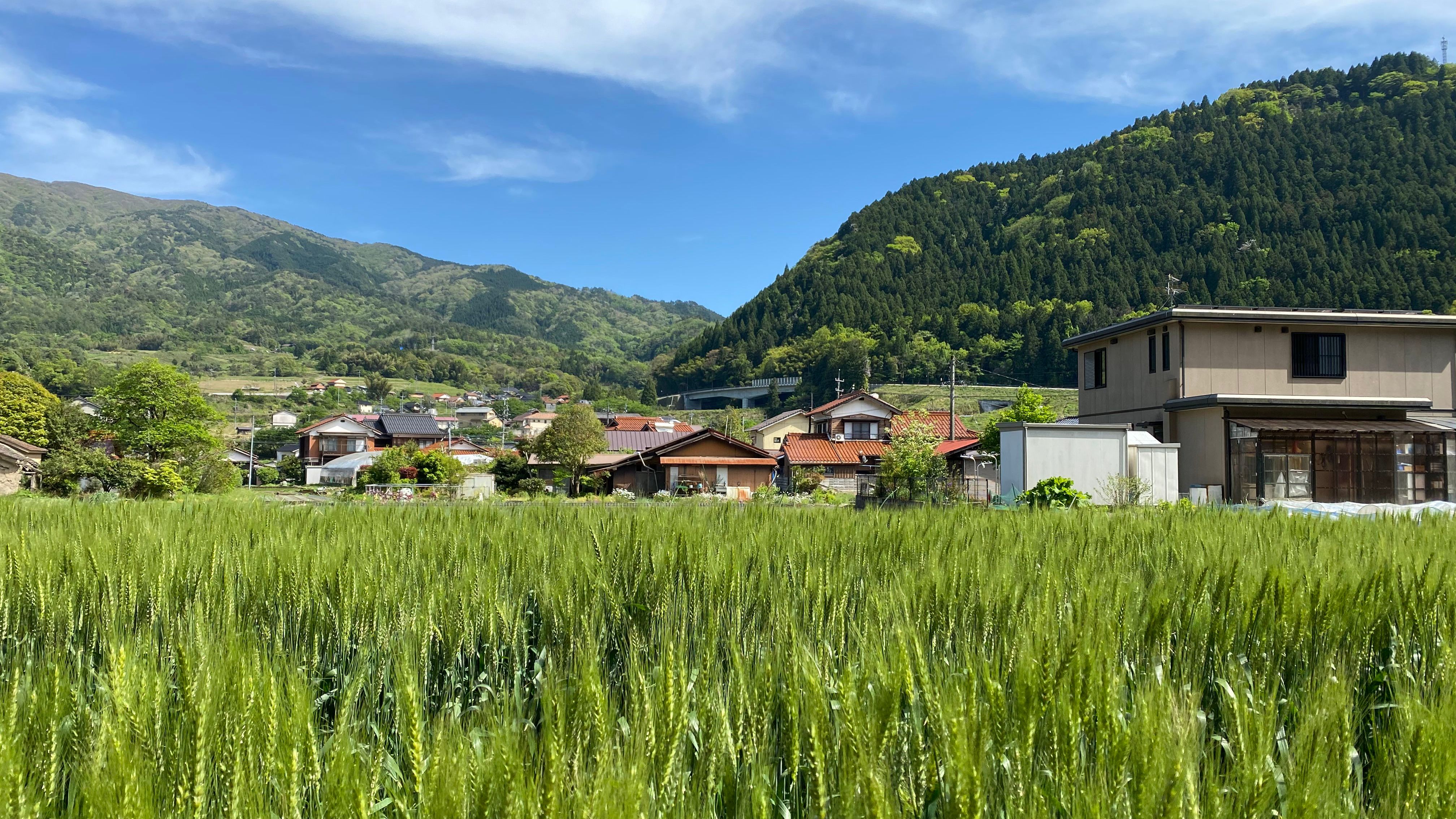 跑到日本乡下去种田,走进宫崎骏的动画世界 - 哔哩哔哩