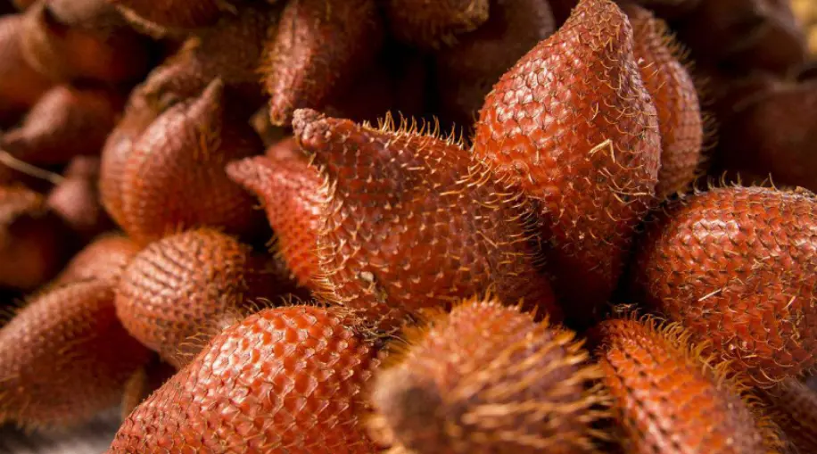 蛇皮果 身披蛇鳞 化身为果 哔哩哔哩