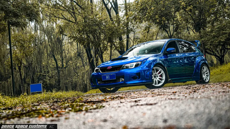 对于翼豹的爱 与年龄无关 哔哩哔哩