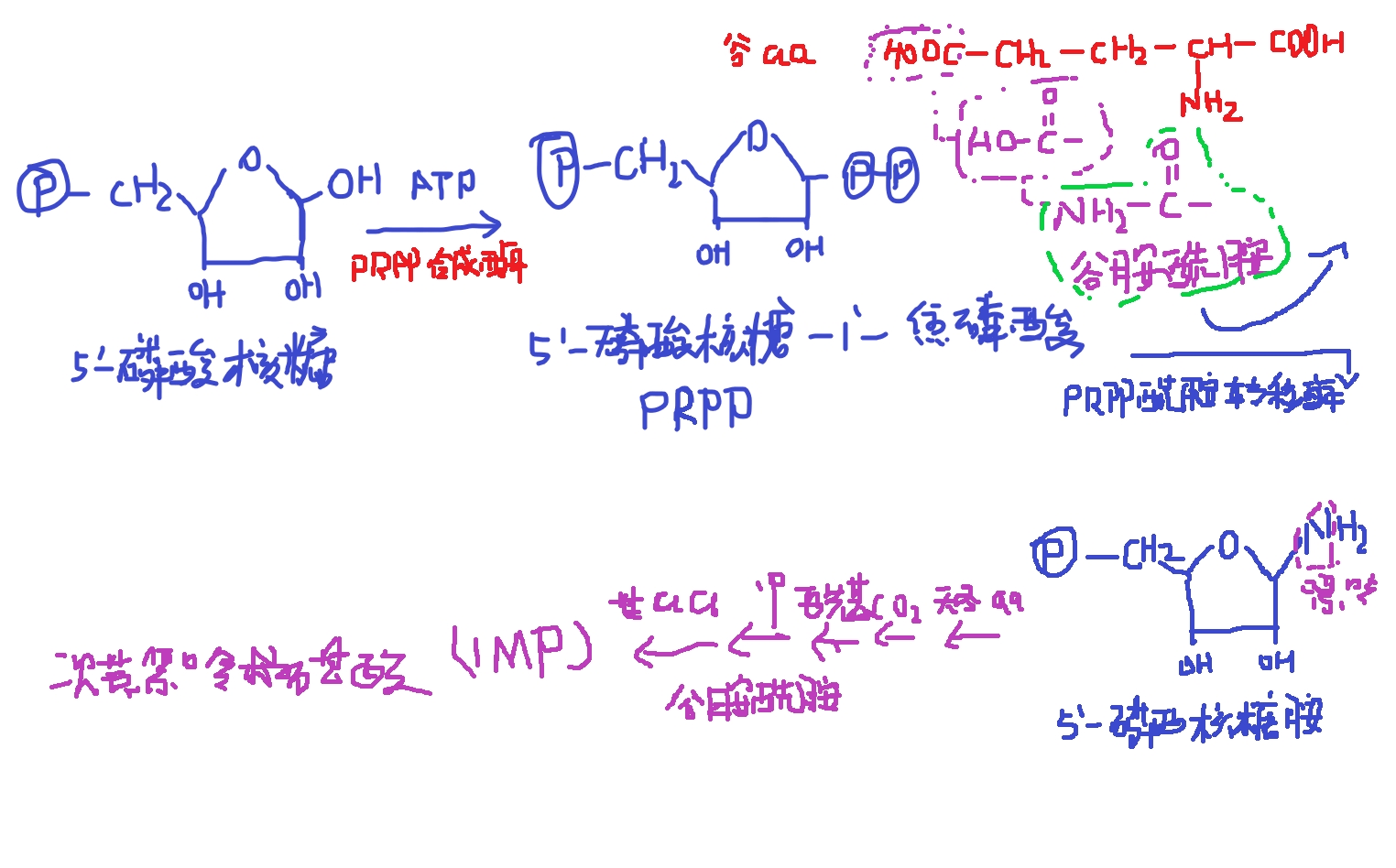 生物化学与分子生物学 - 哔哩哔哩