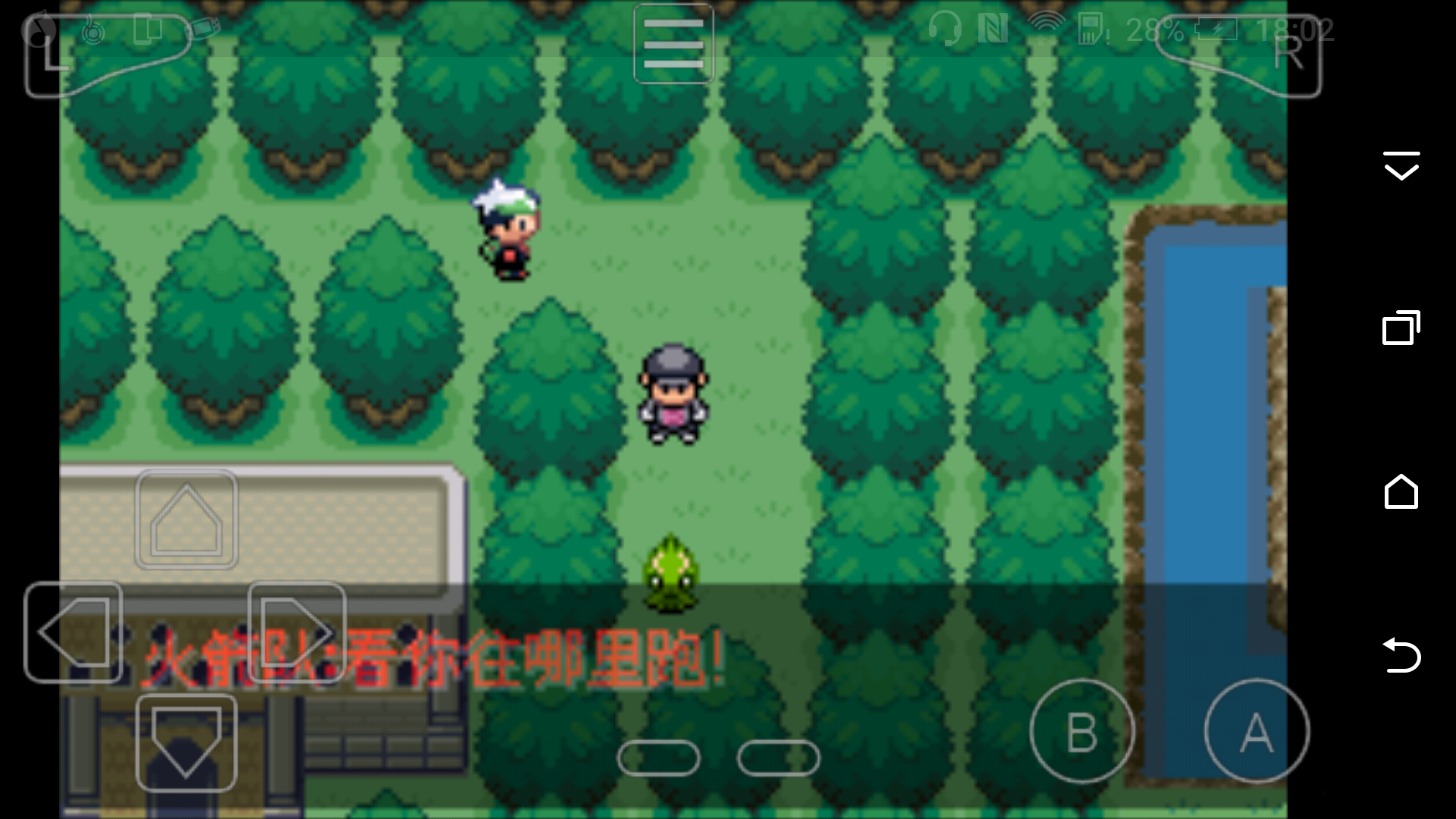 《口袋妖怪永恒之沫》图文攻略