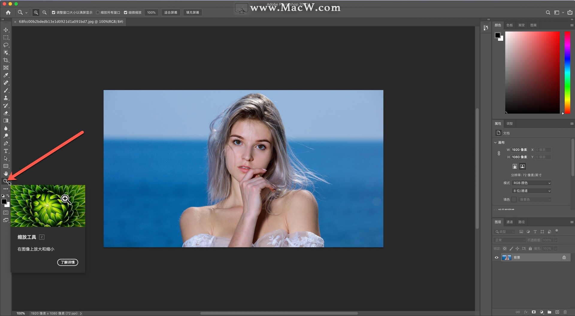 PS图片怎么放大-Adobe Photoshop放大图片的方法教程 - 极光下载站