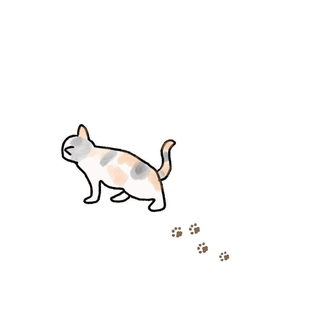 养猫圈 猫抓板训练 让猫咪再也不抓家具 哔哩哔哩