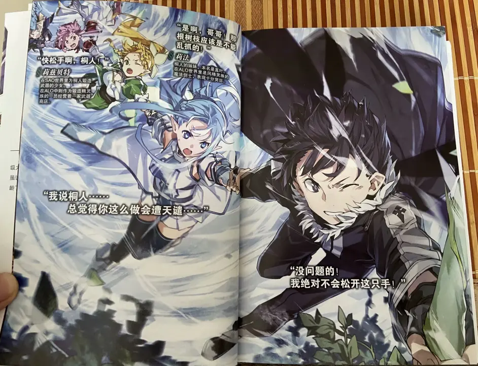 刀剑神域 小说第22卷读后感 哔哩哔哩