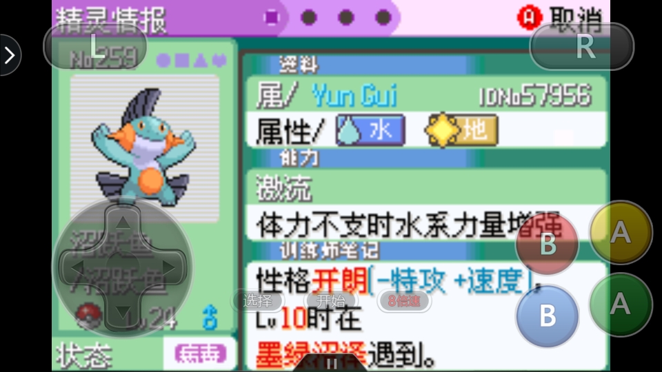 关于口袋妖怪同人小说《双龙旅途》的作者星耀