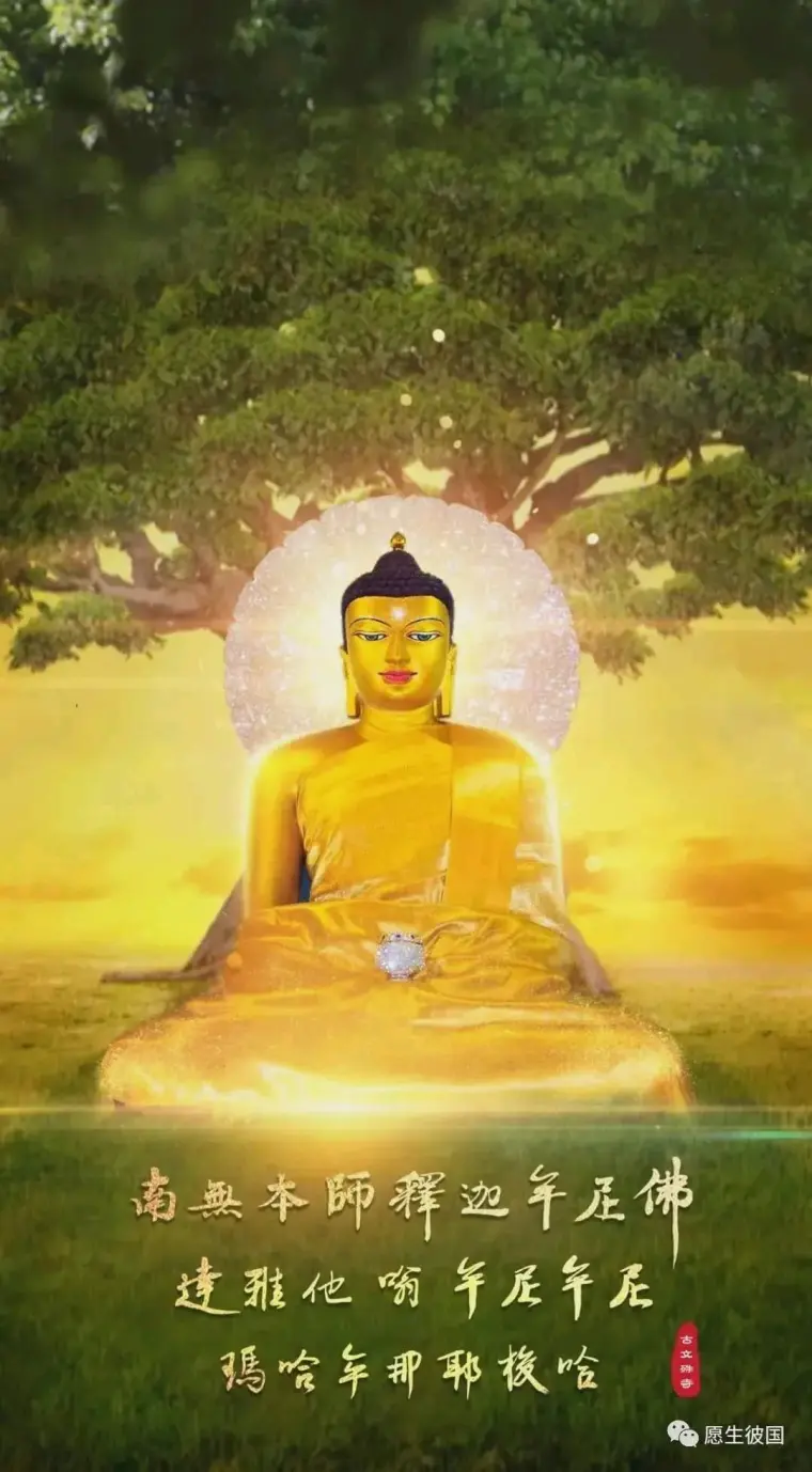 论 大乘是佛说 的基本理念 哔哩哔哩