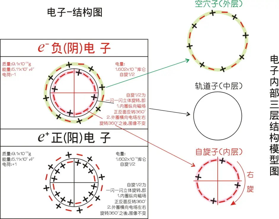 电子内部结构 空穴子 自旋子 轨道子 模型图解 哔哩哔哩