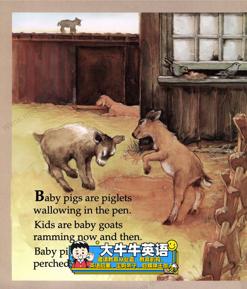 A Pinky is a Baby Mouse and Other Baby Animal Names???? - ????