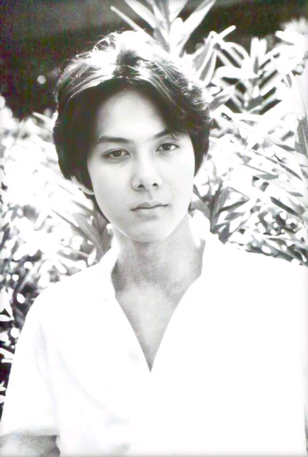 柏原崇 哔哩哔哩