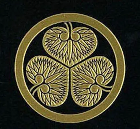 大奥 将军黑历史大曝光 哔哩哔哩 大奥 将军黑历史大曝光 哔哩哔哩