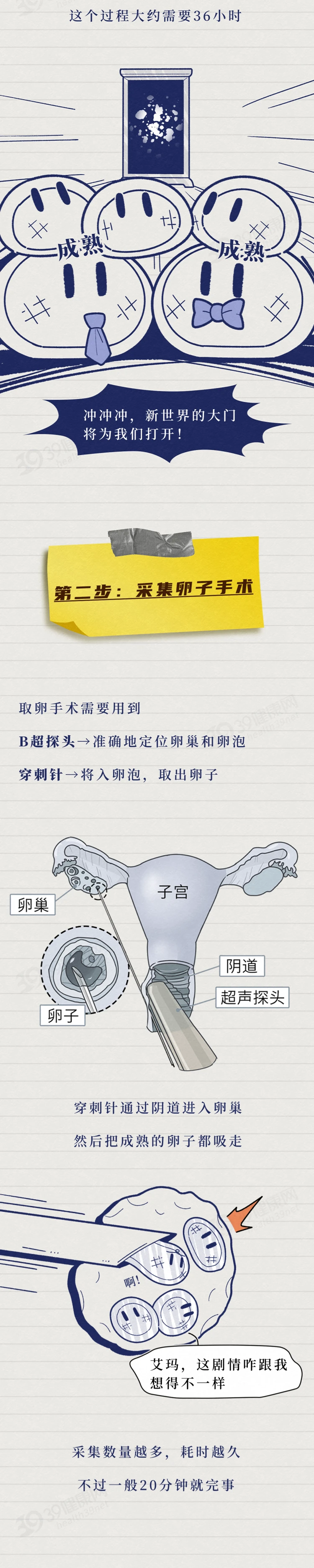 年龄越大，卵子越差！不婚的单身女性选择冻卵后，都怎样了？图4