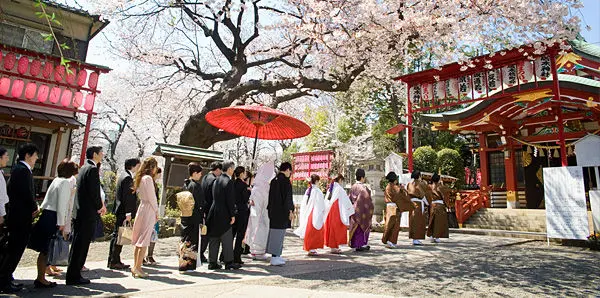 详细解说日本神社婚礼 婚礼服饰 哔哩哔哩