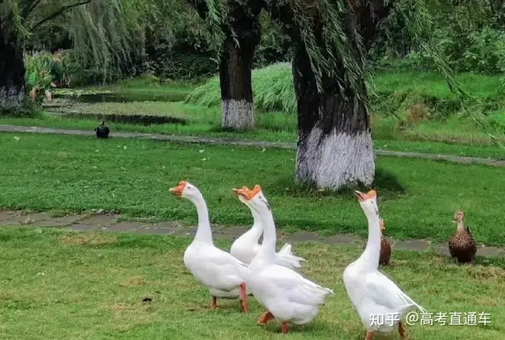 在西南财经大学读书是什么体验（哪个专业最好考）