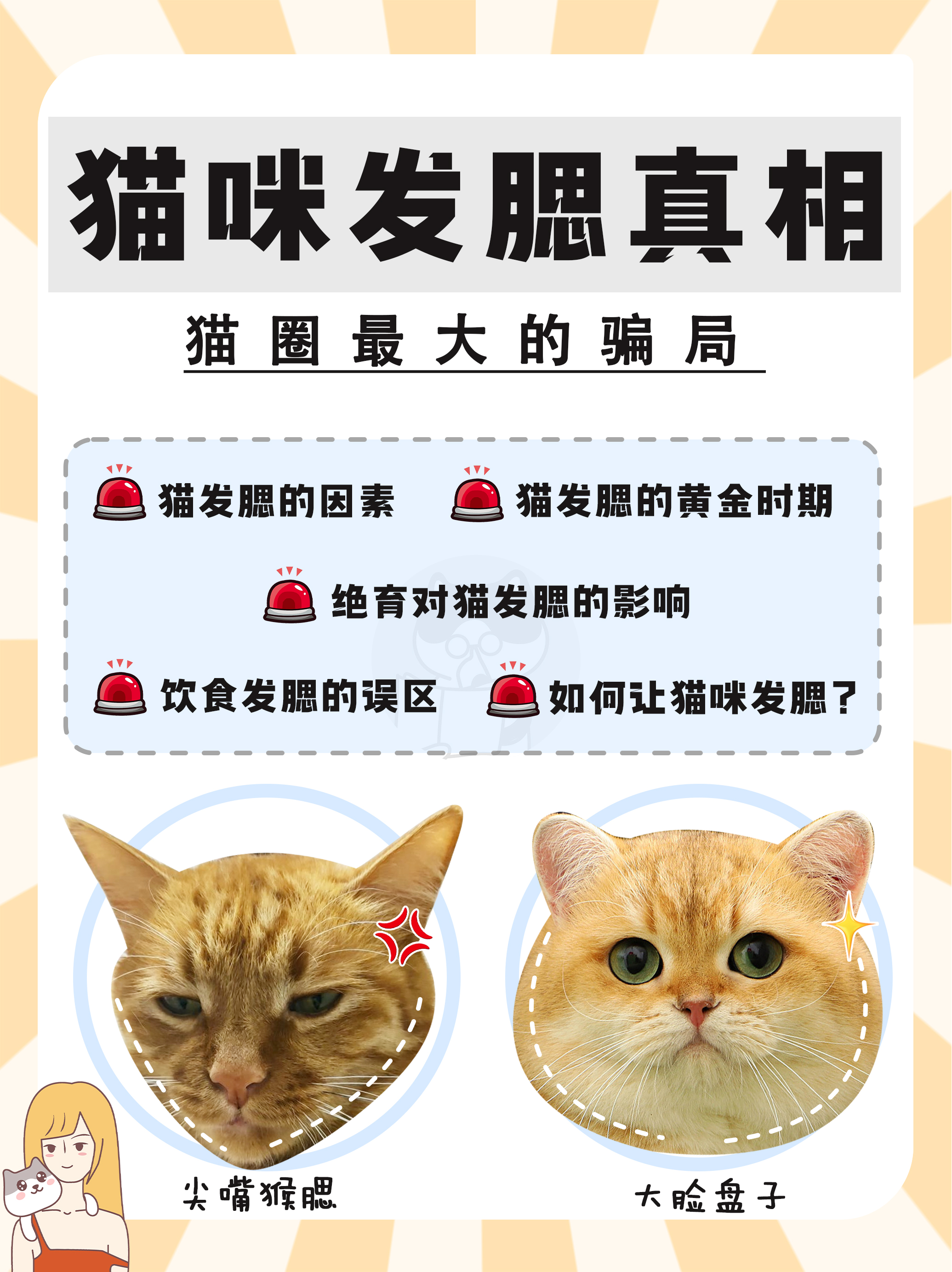 关于猫咪发腮那些事|是时候说清楚了! - 哔哩哔哩
