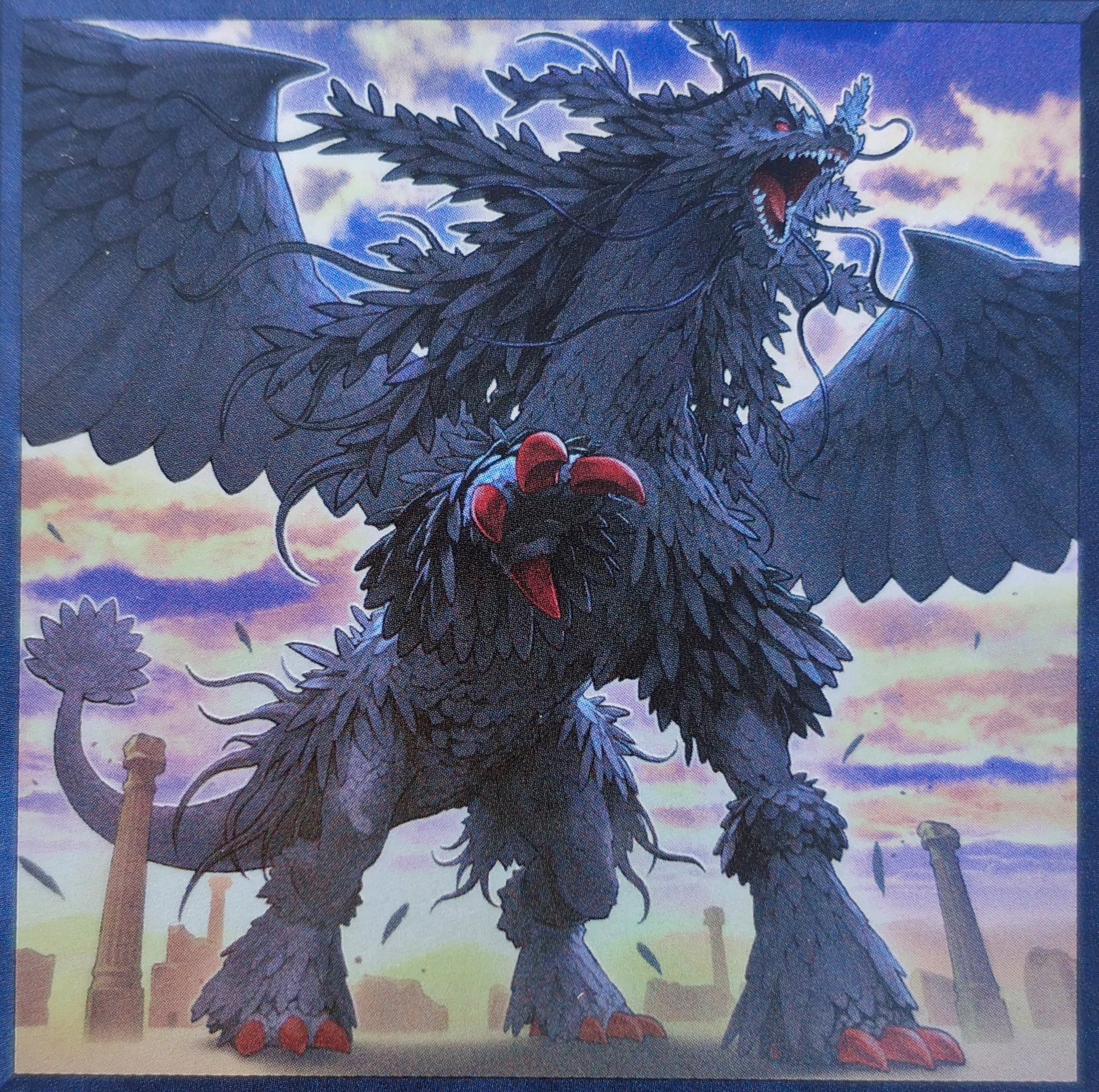 游戏王卡图超清摄影光道全身卡图